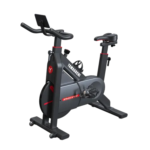 Fitness Bike